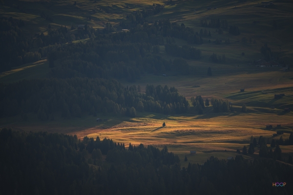 Afternoon light on the alpine meadow in Dolomites.