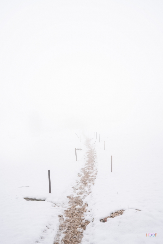 Snowy footpath leading into the mist.